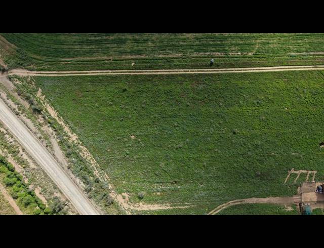 FARM FOR SALE IN VAN WYKSDORP